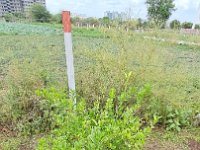 Drainage-Pipeline work